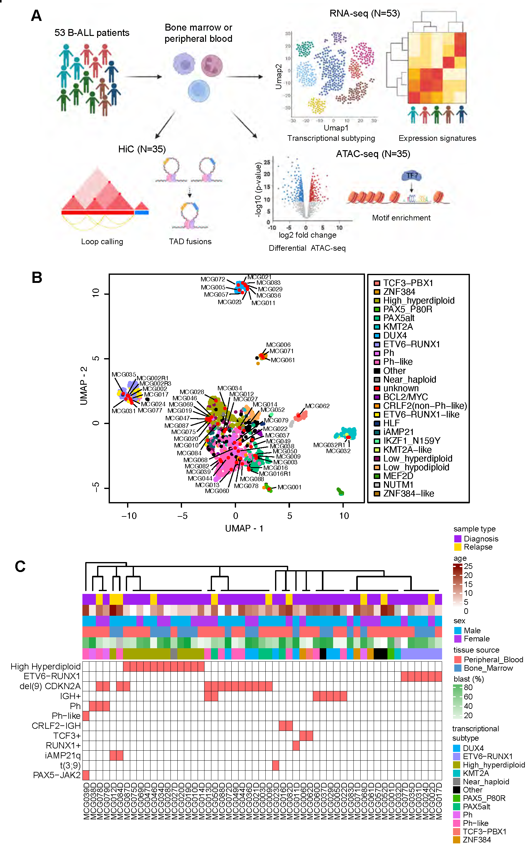 Paper submitted to BioRxiv