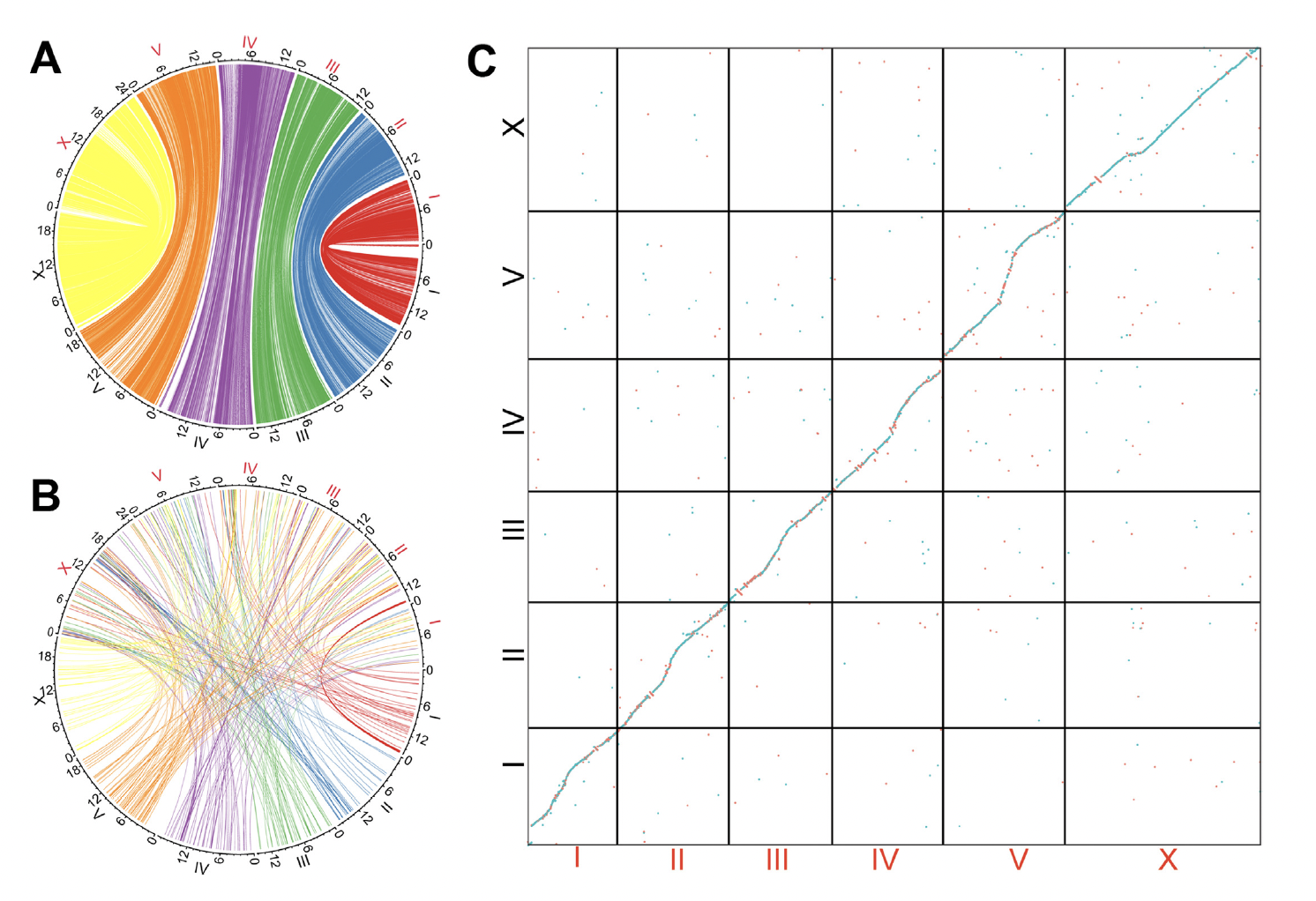 Genomic basis of recombination suppression in the hybrid between Caenorhabditis briggsae and C. nigoni